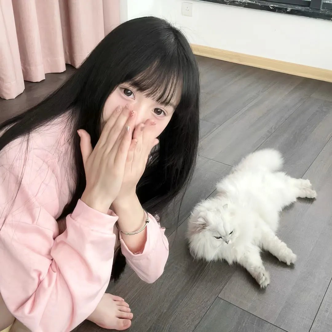 末日后的宇宙碎片